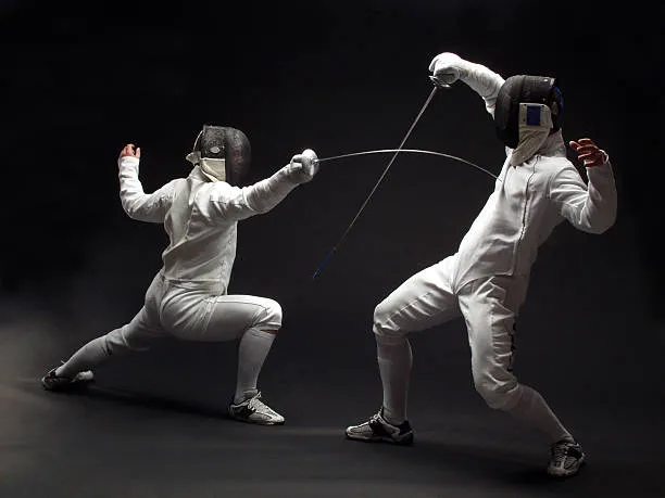 Fencing Image